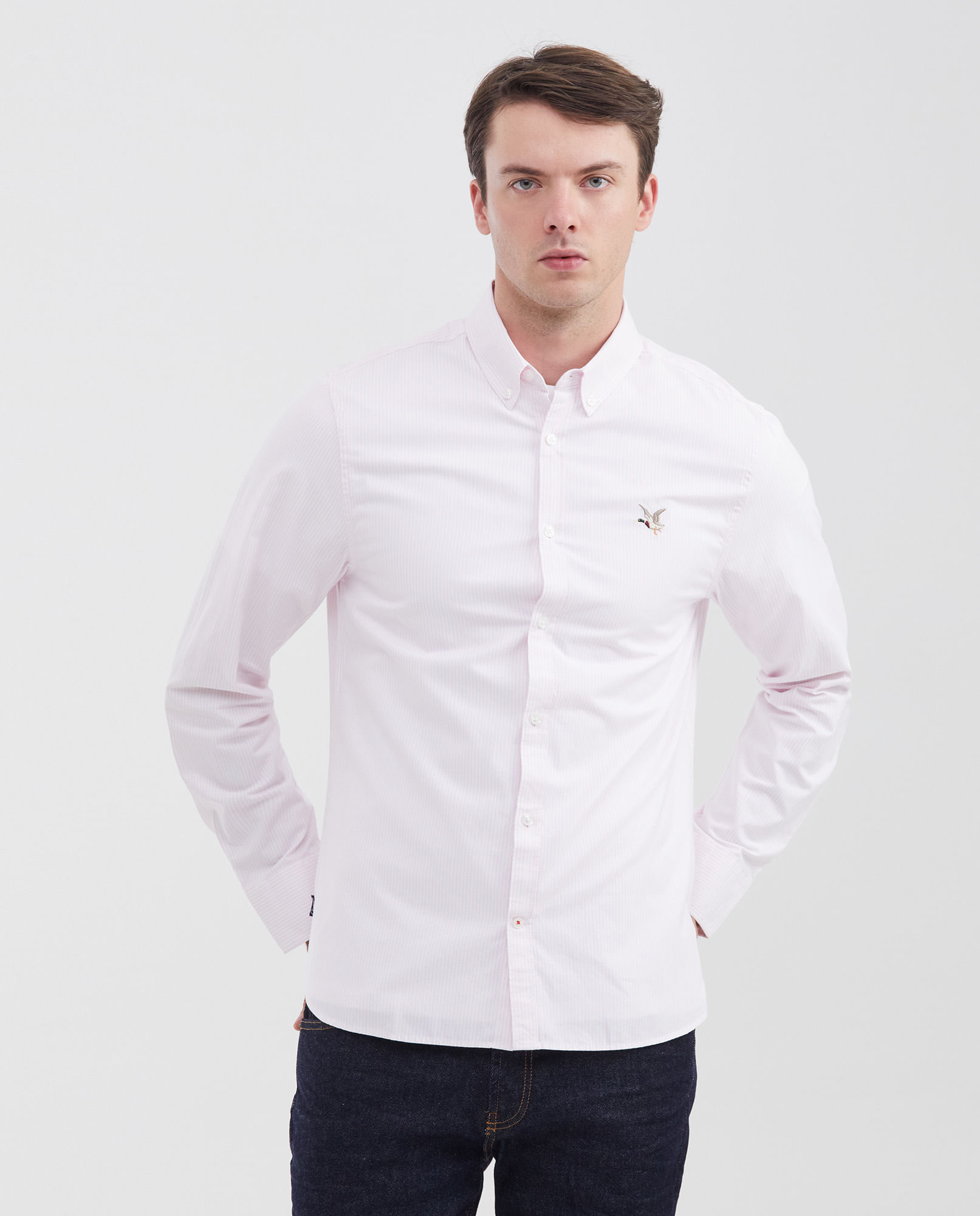 Camisa Manga Larga de Algodón para Hombre