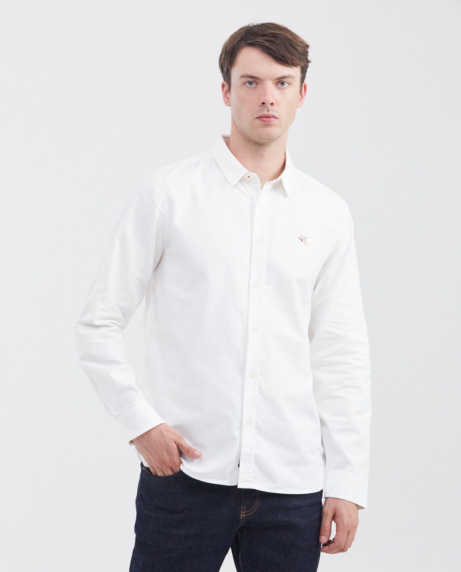 Camisa Manga Larga Algodón Masculino